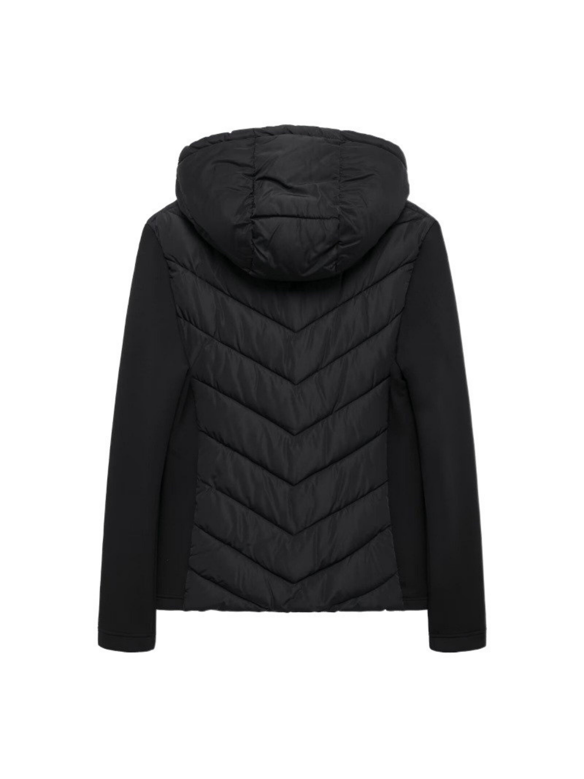 Cappotto imbottito di cotone con colletto in piedi per abbigliamento casual