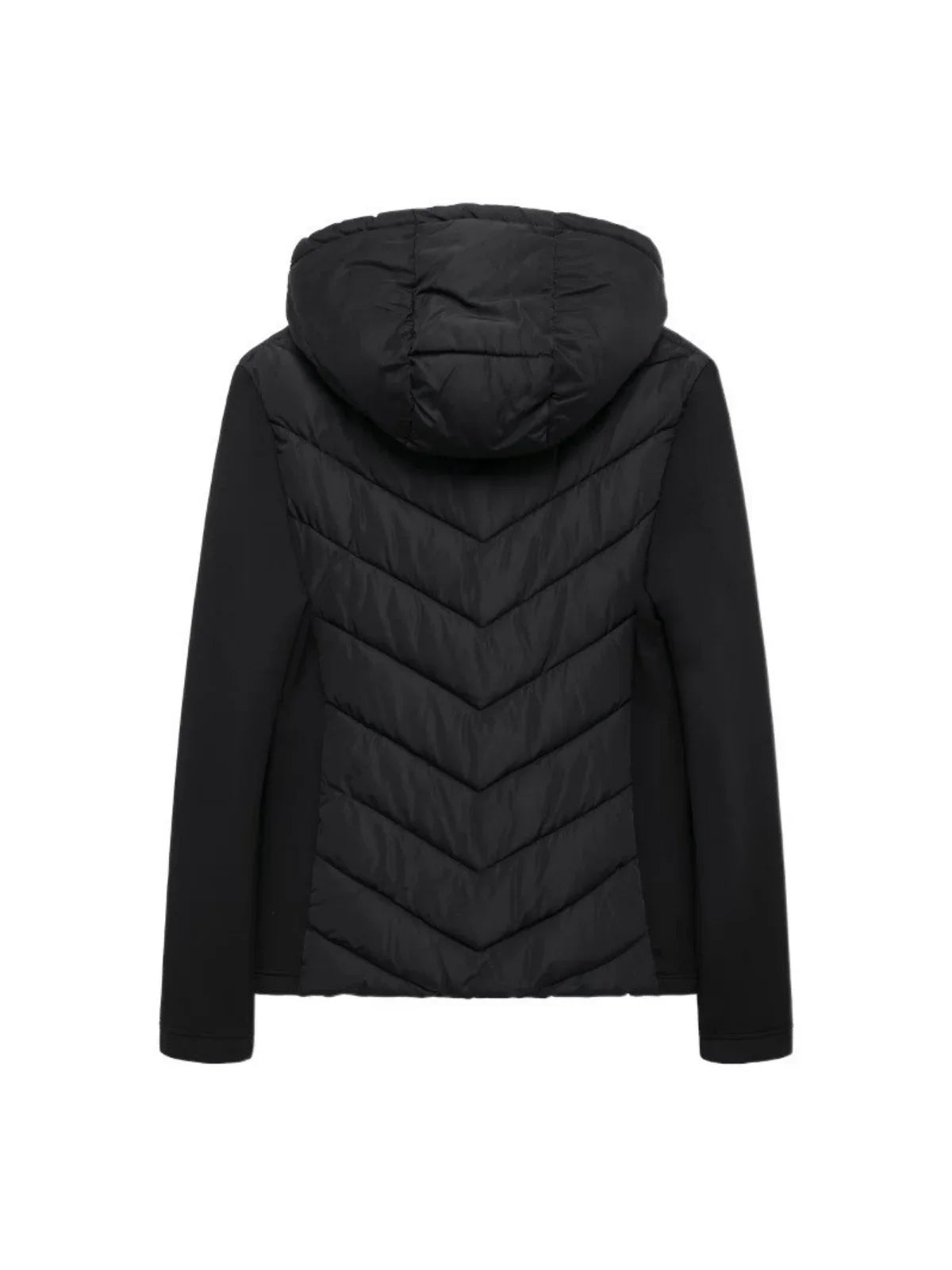 Cotton Padded Coat With Stand Up Collar For Casual Wear - LA FEMME WANDERER