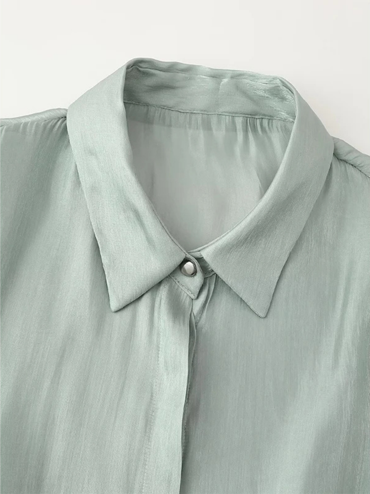 Lapel Collar Semi Sheer Blouse
