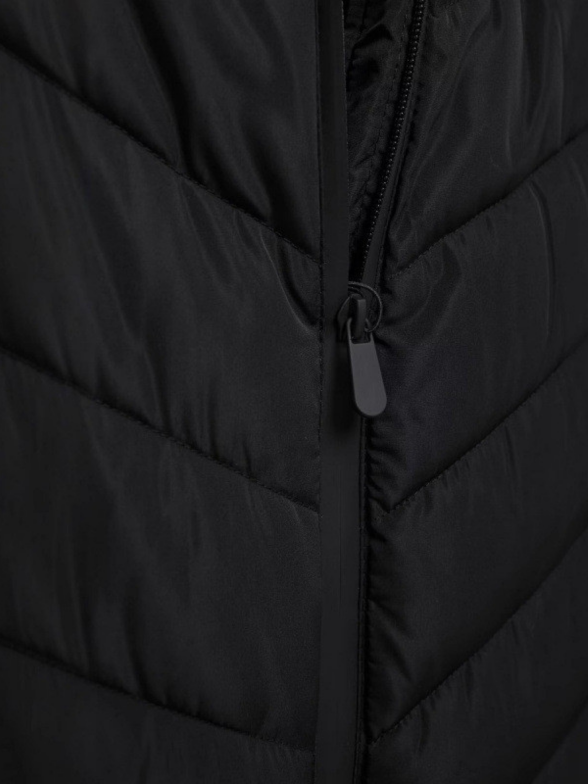 Cotton Padded Coat With Stand Up Collar For Casual Wear